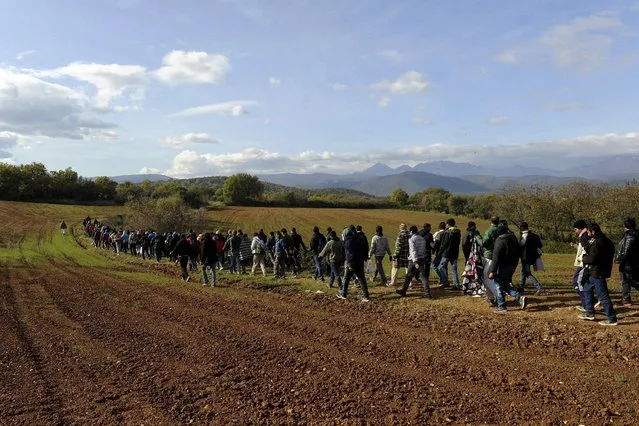 Stranded migrants walk next to the Greek-Macedonian border, in search of a cross point, near the village of Idomeni, Greece December 2, 2015. Picture taken from the Greek side of the border. (Photo by Alexandros Avramidis/Reuters)