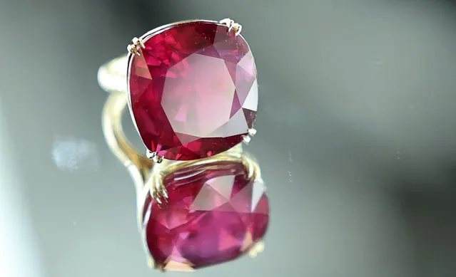The 55.22 carat ruby Estrela de FURA, reported to be the largest and most valuable to ever appear at auction, is exhibited in Dubai on May 22, 2023. The gem will be offered during Sotheby’s June 8th Magnificent Jewels auction in New York. (Photo by Giuseppe Cacace/AFP Photo)