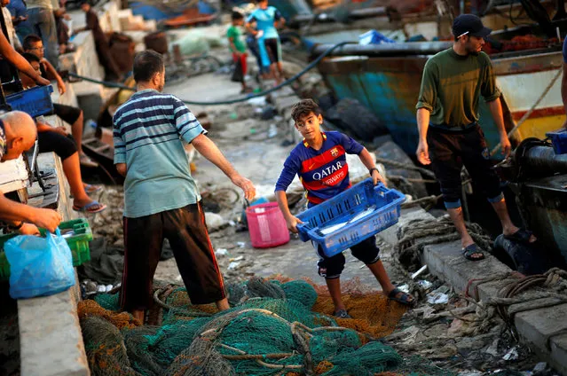 A Palestinian boy carries a container containing fish as he works with fishermen at the seaport of Gaza City September 26, 2016. (Photo by Mohammed Salem/Reuters)
