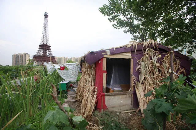 A farmer's house is seen near a replica of the Eiffel Tower at the Tianducheng development in Hangzhou, Zhejiang Province August 1, 2013. Tianducheng, developed by Zhejiang Guangsha Co. Ltd., started construction in 2007 and was known as a knockoff of Paris with a scaled replica of the Eiffel Tower standing at 108 metres (354 ft) and Parisian houses. Although designed to accommodate at least 10 thousand people, Tianducheng remains sparsely populated and is now considered as a “ghost town”, according to local media. (Photo by Aly Song/Reuters)