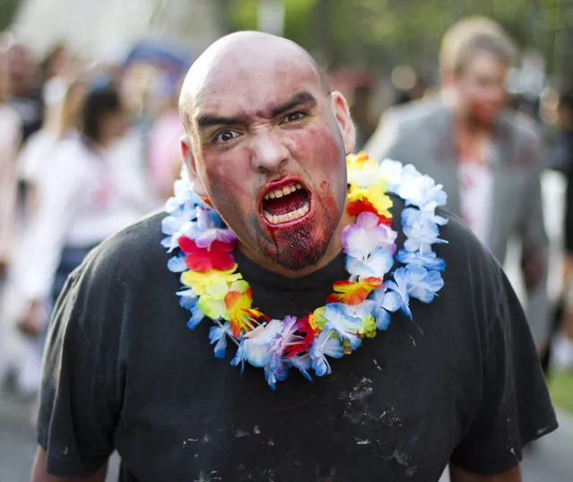 “This zombie did not have fun in Hawaii”. (Photo and caption by Nathan Rupert)