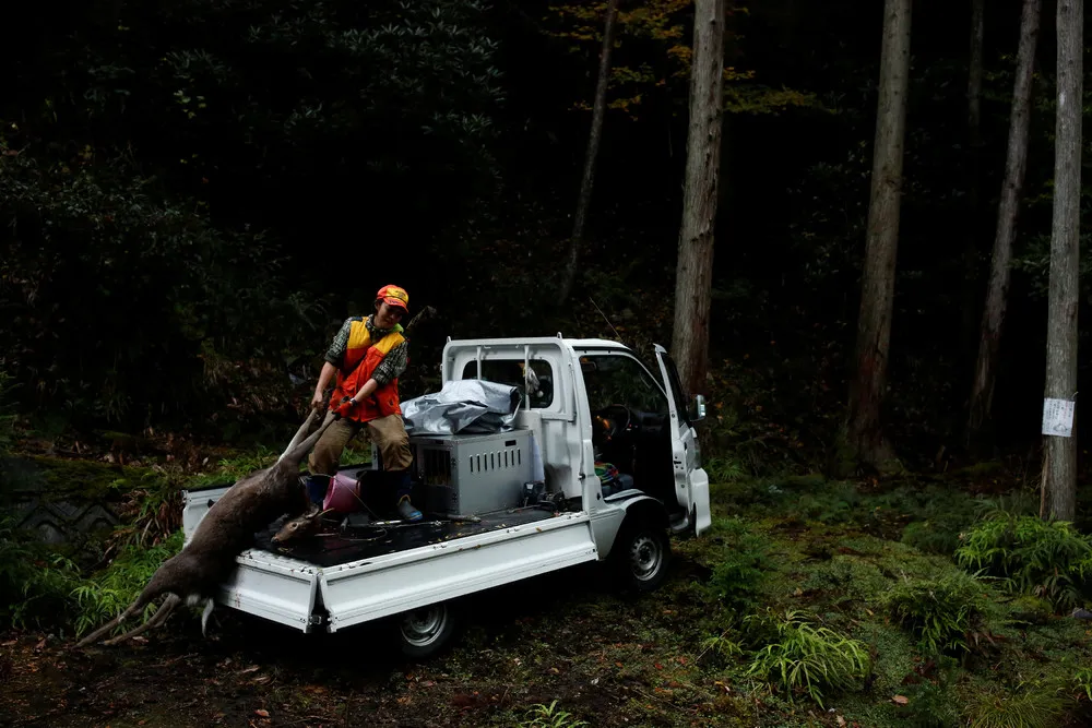 Japan's Female Hunters