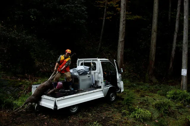 Hunter Chiaki Kodama loads a deer she shot onto her truck in a forest outside Oi, Fukui Prefecture, Japan, November 17, 2016. (Photo by Thomas Peter/Reuters)