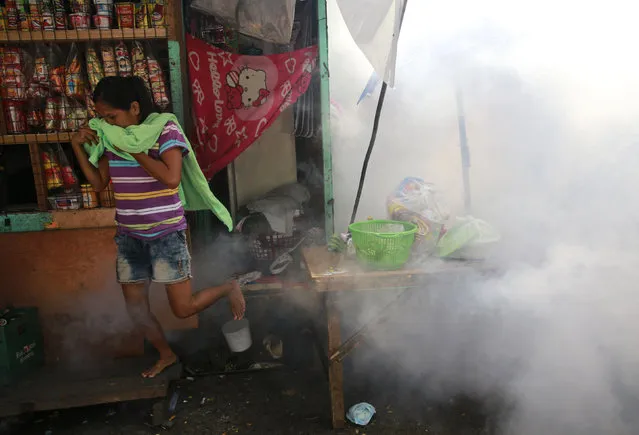 A resident moves out of her residence while a municipal worker carries out fumigation as a preventive measure on the spreading of mosquito-borne diseases in a slum area in the Paranaque City, Metro Manila, Philippines February 2, 2016. (Photo by Romeo Ranoco/Reuters)