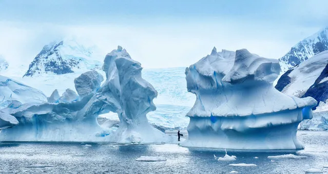 The team explored the peculiar landscape by foot as well as freediving, taken in February 2016, Antarctica. A group of UK adventurers have made history as the first Brits believed to have freedived in Antarctica. Will Glendinning, 40, made the treacherous journey to the planet's most southerly continent with friend Dave Crump and four other crew members.  Freediving involves going underwater without breathing equipment and relies on the diver's ability to hold their breath for minutes at a time. Classed as an extreme sport, it is especially dangerous in the Southern Ocean, with icebergs “the size of small countries” threatening to collapse and crush divers beneath their weight. (Photo by Freedive Antarctica/Barcroft Images)