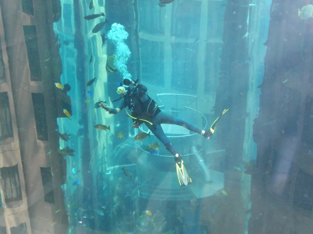 Aquarium in Radisson Sas Hotel