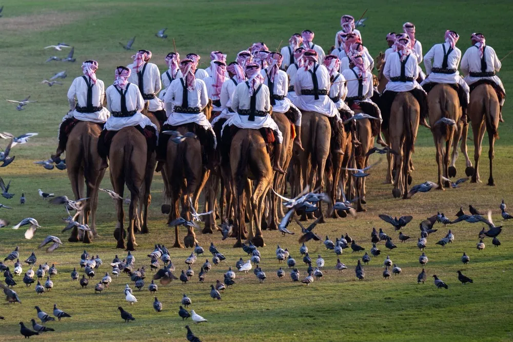 Pictures of the Year 2022, Part 128/163