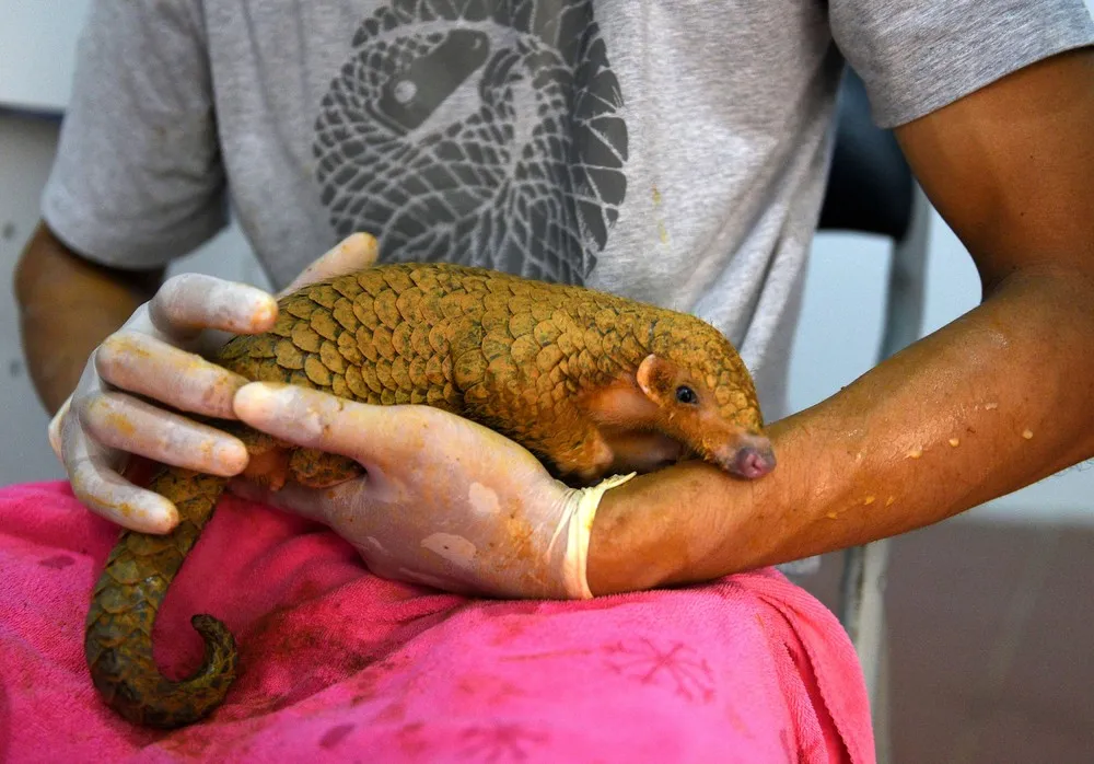 A Look at Life in Vietnam