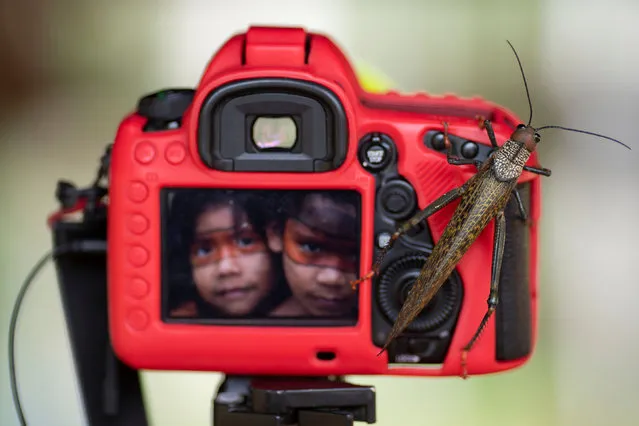 A grasshopper rests on a photographic camera during a meeting in the village of Alto Jamari called to face the threat of armed land grabbers invading the Uru-eu-wau-wau Indigenous Reservation near Campo Novo de Rondonia, Brazil on January 30, 2019. (Photo by Ueslei Marcelino/Reuters)