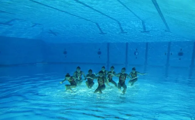 Members of the “Singapore Swimming” synchronised swimming team perform their team free routine at the Australian Synchronised Swimming Championships in Sydney, Australia, April 25, 2015. Picture has been rotated 180 degrees. (Photo by Jason Reed/Reuters)