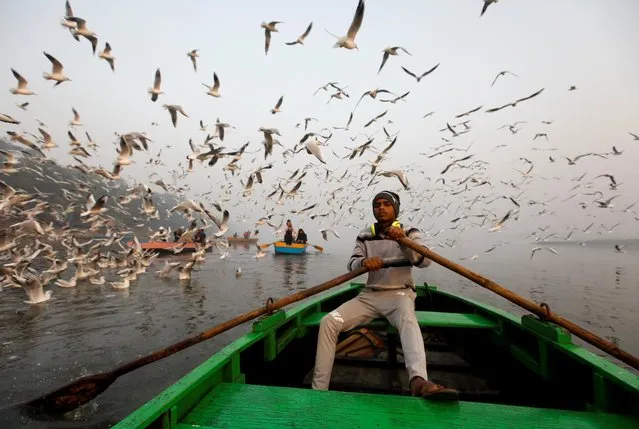 A boy rows a boat as seagulls fly over the waters of the river Yamuna river, on a smoggy morning in New Delhi, India November 18, 2021. (Photo by Navesh Chitrakar/Reuters)