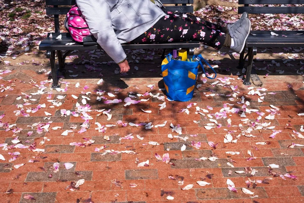 USA last Week, Part 3/3