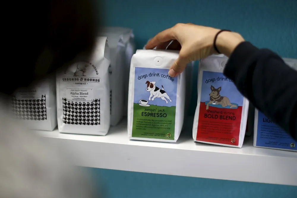 America's First Dog Cafe Opens in Los Angeles