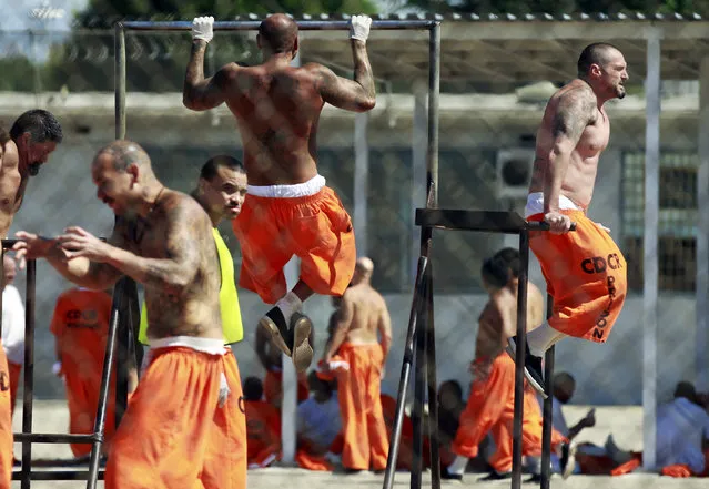 Inmates exercise at the California Institution for Men state prison in Chino, California, June 3, 2011. (Photo by Lucy Nicholson/Reuters)