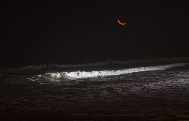 In this March 2, 2017 photo, a man rides a wave in the Pacific Ocean waters of La Papilla beach in Lima, Peru. As most Lima residents prepare to sleep, a handful of hardcore surfers descend on the only beach in Peru where they can ride the waves at night. The South American country has decked out La Pampilla beach next to the well-heeled capital district of Miraflores with four 1,000-watt lights like those used in soccer stadiums. Placed high above the beach, their light reaches about 200 meters (250 yards) out to the water, providing enough illumination to surf after nightfall. Pampilla beach does not attract sharks, unlike some beaches in the United States and Australia. The greatest danger faced by night surfers might be crashing into one another, blinded by the powerful lights. The beach attracts fewer than two dozen surfers a night, and so far there have been no reported accidents. La Pampilla is the second beach in Latin America set up for night surfing. The Brazilian beach of Arpoador, one of the biggest surf landmarks in Rio de Janeiro, has had artificial lights since 1989. Night surfing apparently came about in Lima because of a dispute with the capital municipality that in 2015 increased the width of a road that runs along the coast. The surfers protested the construction for months by camping on the asphalted beach area, but in the end the municipality prevailed, with support from the police. At the end of 2016, perhaps to win over the surfers, Lima's mayor set up the beach lights. (Photo by Rodrigo Abd/AP Photo)