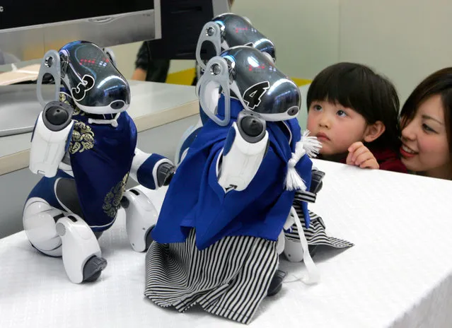 A girl and her mother look at Sony's robot dog AIBO at Robot Festa 2006 in Tokyo March 25, 2006. (Photo by Toru Hanai/Reuters)