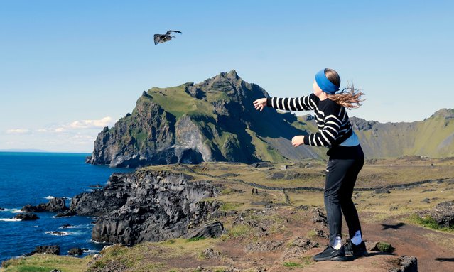 Residents release pufflings into the sea from a cliff on August 20, 2024 in Vestmannaeyjar, Iceland. In Iceland's Westman Islands, located off the southern coast, thousands of young puffins, known as pufflings, are rescued by locals in an annual tradition as they become misguided by city lights during their first flight during the night from cliffside burrows to the sea. (Photo by Micah Garen/Getty Images)