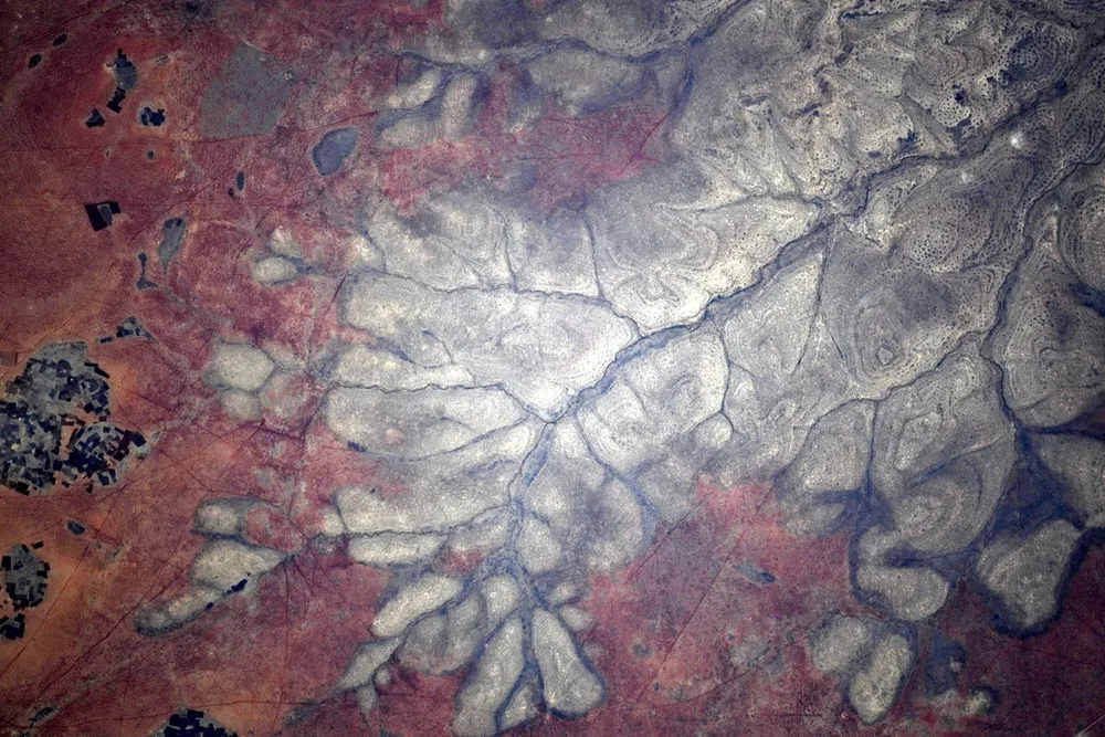 Orbital Gallery Oleg Kotov