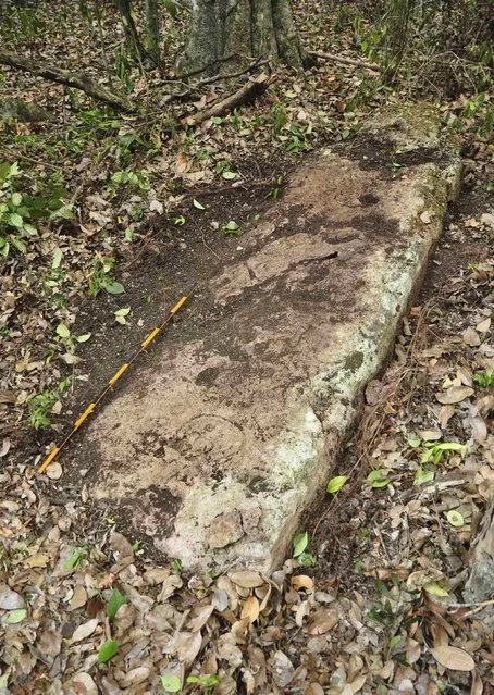 A photograph released to Reuters on August 22, 2014 shows a piece of a stela at an Mayan city in Tamchen April 6, 2014. (Photo by Reuters/Research Center of the Slovenian Academy of Sciences and Arts)