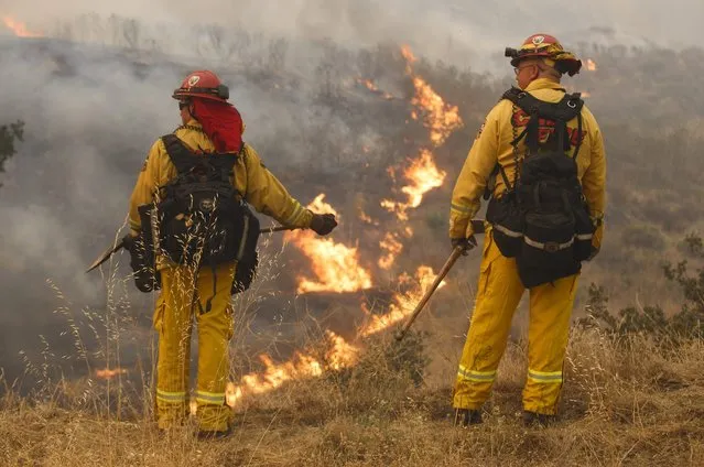 Firefighters tackle the Sand Fire in Santa Clarita, California, USA, 24 July 2016. Reports state that the fire has burned at least 18 structures and killed one person near Los Angeles. (Photo by Eugene Garcia/EPA)
