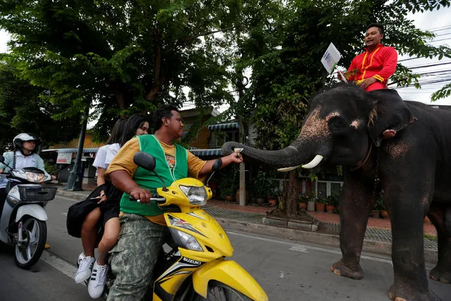 An elephant distributes a pamphlet to Thai people during a campaign ahead of the August 7 referendum in Auytthaya province, north of Bangkok, Thailand, August 1, 2016. (Photo by Chaiwat Subprasom/Reuters)