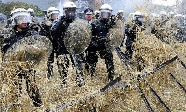 Belgian riot police officers are covered by hay thrown by demonstrators as farmers and dairy farmers from all over Europe take part in a demonstration outside an European Union farm ministers emergency meeting at the EU Council headquarters in Brussels, Belgium, September 7, 2015. (Photo by Yves Herman/Reuters)