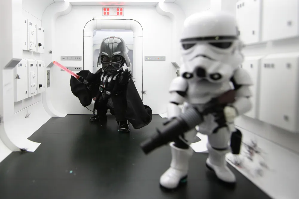 The Day in Photos – September 13, 2015