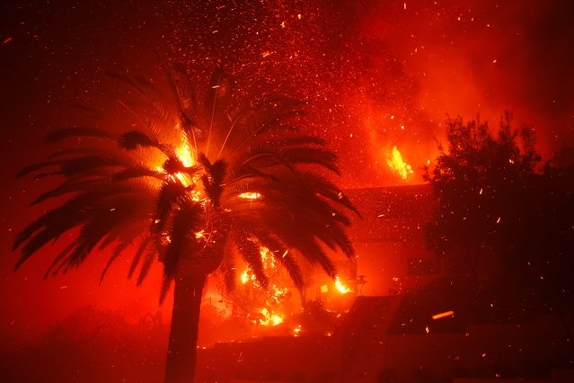 The Palisades Fire burns trees and homes in the Pacific Palisades neighborhood of Los Angeles, Tuesday, January 7, 2025. (Photo by Etienne Laurent/AP Photo)