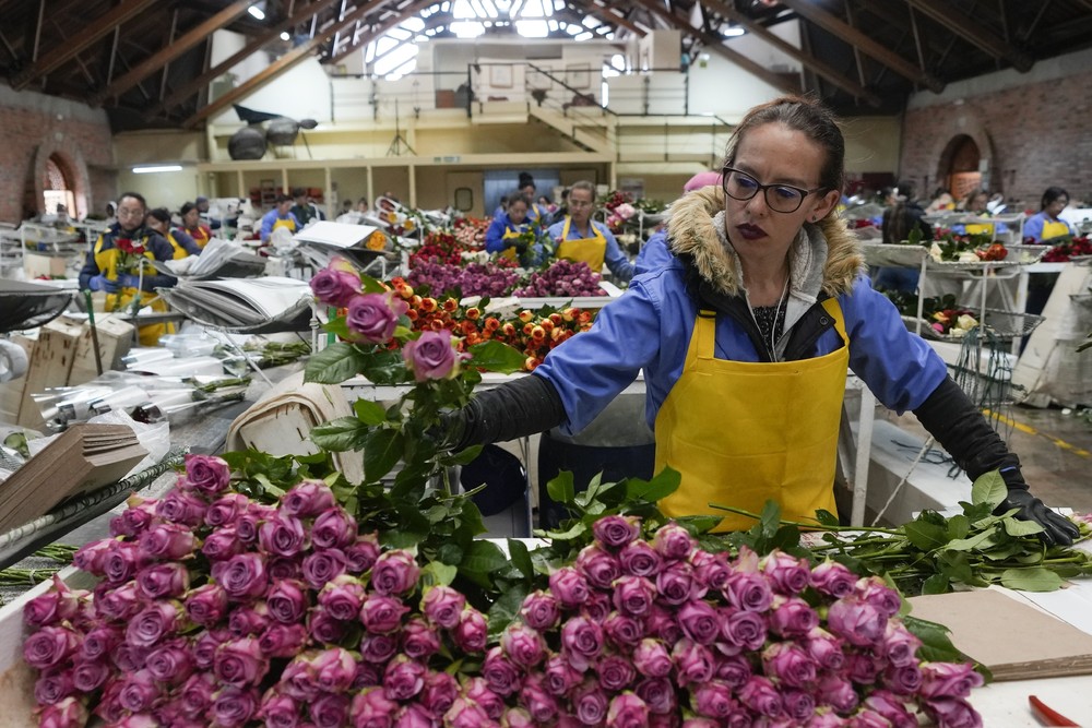 Pictures of the Year 2024, Part 008/240