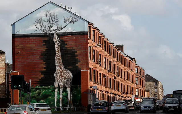 A giraffe mural is seen on the gable end of a building in Shettleston Road in Glasgow East, in Glasgow, Scotland, September 29, 2017. Photograph taken on September 29, 2017. (Photo by Russell Cheyne/Reuters)
