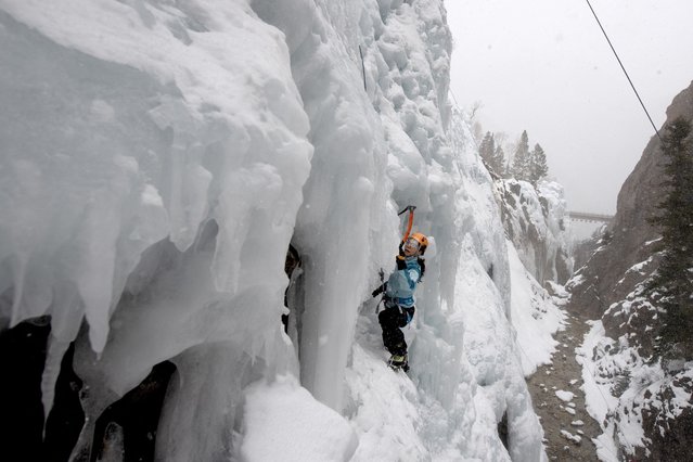 Jen Brinkley, 50, an ice climber from California, climbs a wall of ice while celebrating her birthday at the Ouray Ice Park in Ouray, Colorado, on February 20, 2025. America's ice-climbing epicenter was facing a bleak future with climate change threatening its water supply, until an unlikely savior came to its rescue: a nearby mine. Nestled in the heart of the Rockies, at an altitude of 2,400 meters (7,800 feet), Ouray is famous among mountaineers around the world for its artificial ice park. But a damaging decades-long drought threatened the supply of water, even as the number of winter visitors exploded. But from next season, all that is set to change, after Ouray Silver Mines stepped in and offered to lease the rights to millions of liters (gallons) of water every year – for a peppercorn $1 fee. (Photo by Jason Connolly/AFP Photo)