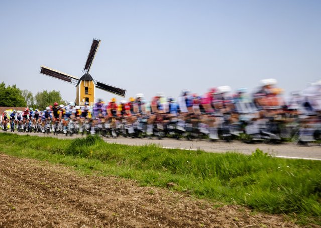 The pack rides past Sint-Hubertusmolen windmill during the cycling Amstel Gold Race 2025 in Beek on April 20, 2025. (Photo by Vincent Jannink/ANP via AFP Photo)