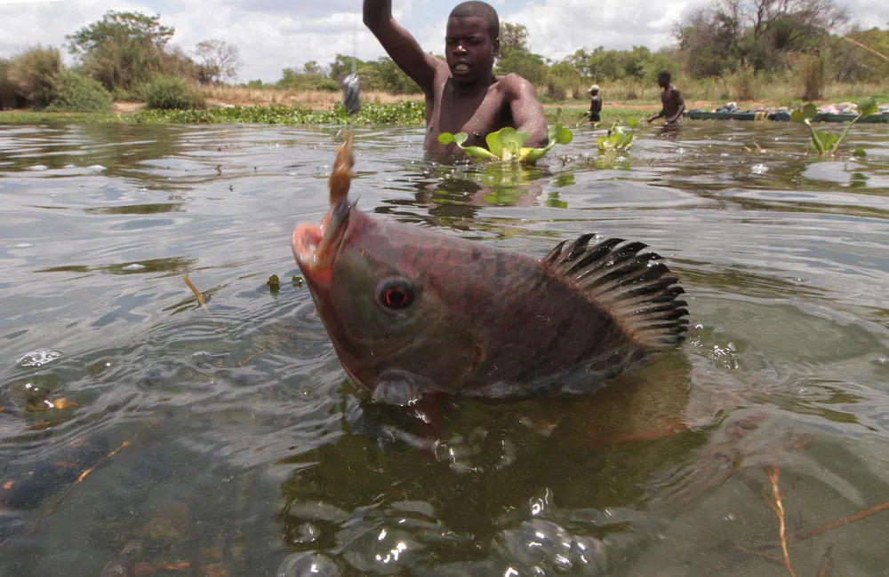 Illegally Fishing in Zimbabwe