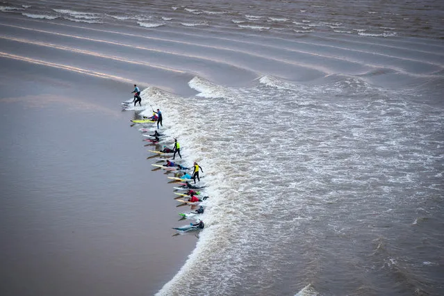 Surfers attempt to ride the Severn Bore as it passes in Newnham on Severn on February 2, 2018 in Gloucestershire, England. The bore, which follows this week's super moon and was given a four-star rating as it is likely to be one of the largest in 2018, attracts surfers from around the world to ride it. The Severn bore, a natural tidal phenomenon and one of the largest in the world, pushes a 4ft wave up the Severn Estuary and is at its most dramatic in the spring when the tides are at their highest. (Photo by Matt Cardy/Getty Images)