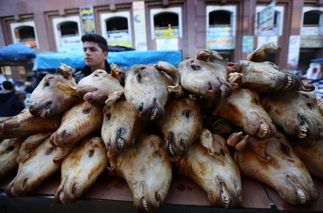 An Iraqi Kurdish street vendor sells cooked goat heads in a market in Arbil, the capital of the autonomous Kurdish region of northern Iraq, on February 16, 2016. (Photo by Safin Hamed/AFP Photo)