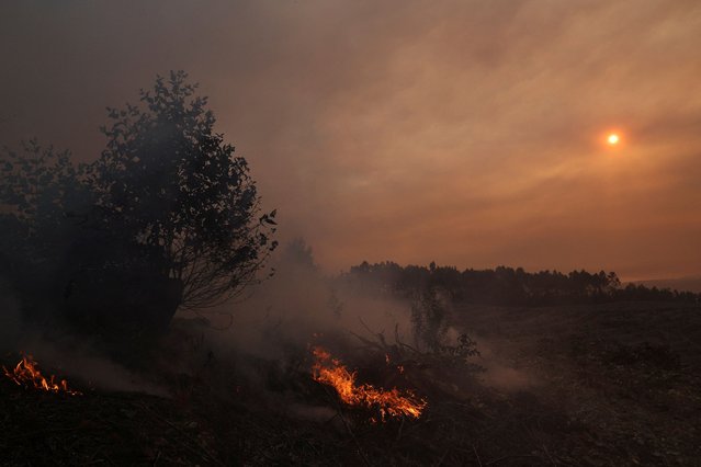 Flare-ups ignite remaining vegetation in the aftermath of a wildfire, Arouca region, Portugal on July 30, 2025. (Photo by Violeta Santos Moura/Reuters)