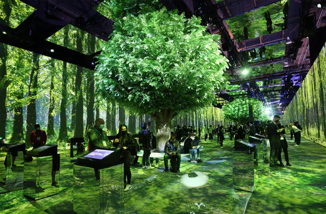 Visitors look around SK's Green Forest Pavilion showing the South Korean company's efforts to reduce emissions at the Consumer E​lectronics Show in Las Vegas, USA, 05 January 2022. (Photo by Yonhap/EPA/EFE)