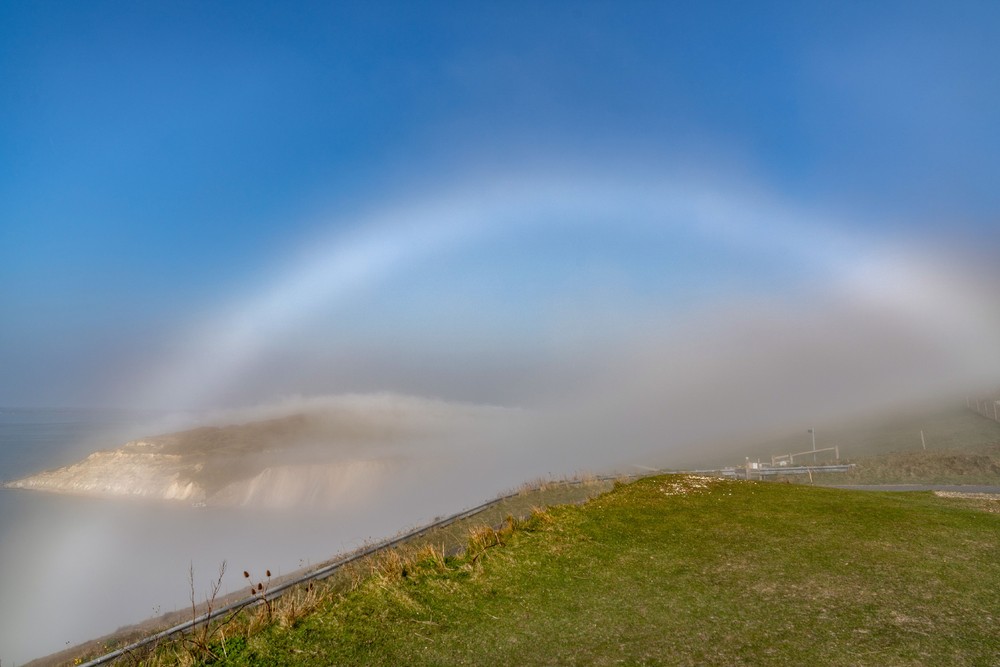 Some Photos: Foggy Day