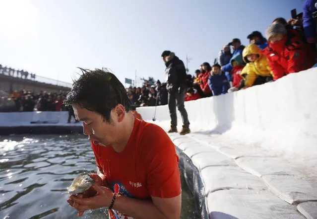 A man catches a trout with his hands during an event promoting the Ice Festival on a frozen river in Hwacheon, about 20 km (12 miles) south of the demilitarized zone separating the two Koreas, January 10, 2015. (Photo by Kim Hong-Ji/Reuters)