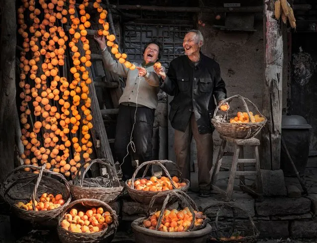 Moments of Joy – Hanging Up Persimmons. “Autumn in Shanxi province, China. The mountainous region located in the Taihang Mountains is so cold and dry that making hanging made of persimmon becomes the main source of income for local farmers. The persimmons are harvested, peeled and dressed, and hung under the eaves in bunches, waiting to soften and freeze, hoping they will bring a good price in the New Year”. (Photo by Zhonghua Yang/Pink Lady Food Awards 2023)