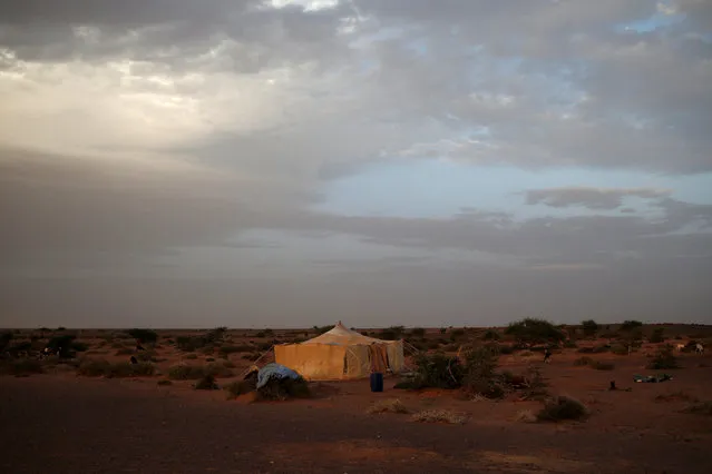 A tent belonging to an indigenous Sahrawi family stands in Tifariti, Western Sahara, September 8, 2016. (Photo by Zohra Bensemra/Reuters)