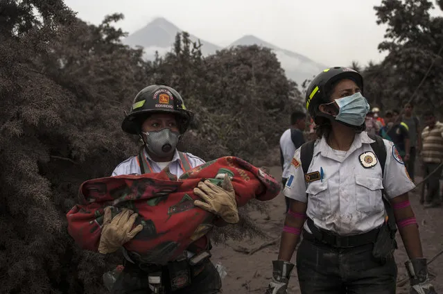 A firefighter carries the body of a child recovered near the Volcan de Fuego, which means in Spanish Volcano of Fire, in Escuintla, Guatemala, Monday, June 4, 2018. A fiery volcanic eruption in south-central Guatemala sent lava flowing into rural communities, killing dozens. (Photo by Oliver de Ros/AP Photo)