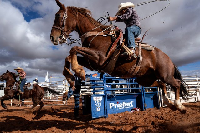 Navajo cowboys compete in a rodeo event during the Western Navajo Fair in Tuba City, Ariz., Friday, October 18, 2024. Natives, which make up 5.2% of the state’s population, voted in big numbers for the Democratic party in 2020 and were credited with swinging the state blue for the first time in decades. (Photo by Rodrigo Abd/AP Photo)