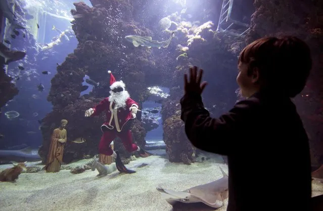 A young boy waves to French diver Pierre Frolla, a four-time apnea diving world champion, dressed as a Santa Claus as he swims with fish in an aquarium of the Oceanic Museum of Monaco December 11, 2015. (Photo by Eric Gaillard/Reuters)