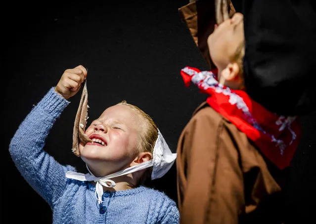 A girl and boy in traditional costumes eat herrings during Vlaggetjesdag, the kick-off of herring season in Scheveningen, The Netherlands, 17 June 2023. The official start of the season has been postponed because the herrings have not reached the desirable form yet, but Vlaggetjesdag will continue. (Photo by Remko de Waal/EPA/EFE)