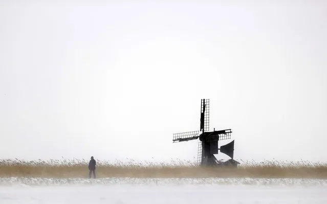 A man walks past a windmill in a winter landscape in Heiloo, The Netherlands, 07 February 2021. After ten years there is officially a snow storm in ​The Netherlands. The storm, named Darcy by the Dutch national weather service, is driven by freezing winds from the east, media reported. (Photo by Koen Van Weel/EPA/EFE)