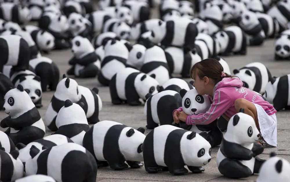 1,600 Panda Sculptures Highlight World Wilflife Fund 50th Anniversary
