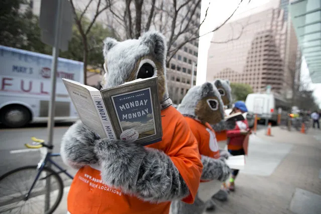 A person dressed as a squirrel reads a book outside the Marriott during South by Southwest on Monday, March 16, 2015, Austin, Texas. The squirrel was promoting the website squirl.co. (Photo by Deborah Cannon/AP Photo/Austin American-Statesman)