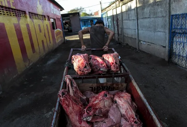 A man pulls a cart of cow heads at the Oriental Market in Managua February 24, 2015. Picture taken February 24, 2015. (Photo by Oswaldo Rivas/Reuters)