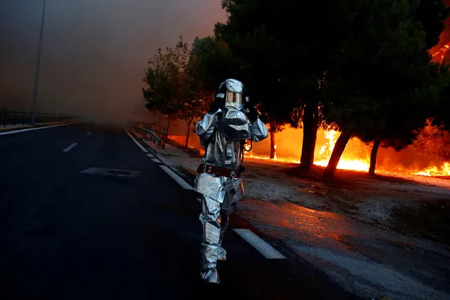 A firefighter wears a flame-resistant uniform as wildfire burns in the town of Rafina, near Athens, Greece, July 23, 2018. (Photo by Costas Baltas/Reuters)